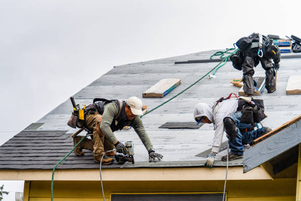 Professional Gutter Installation technician working in Crookston, MN